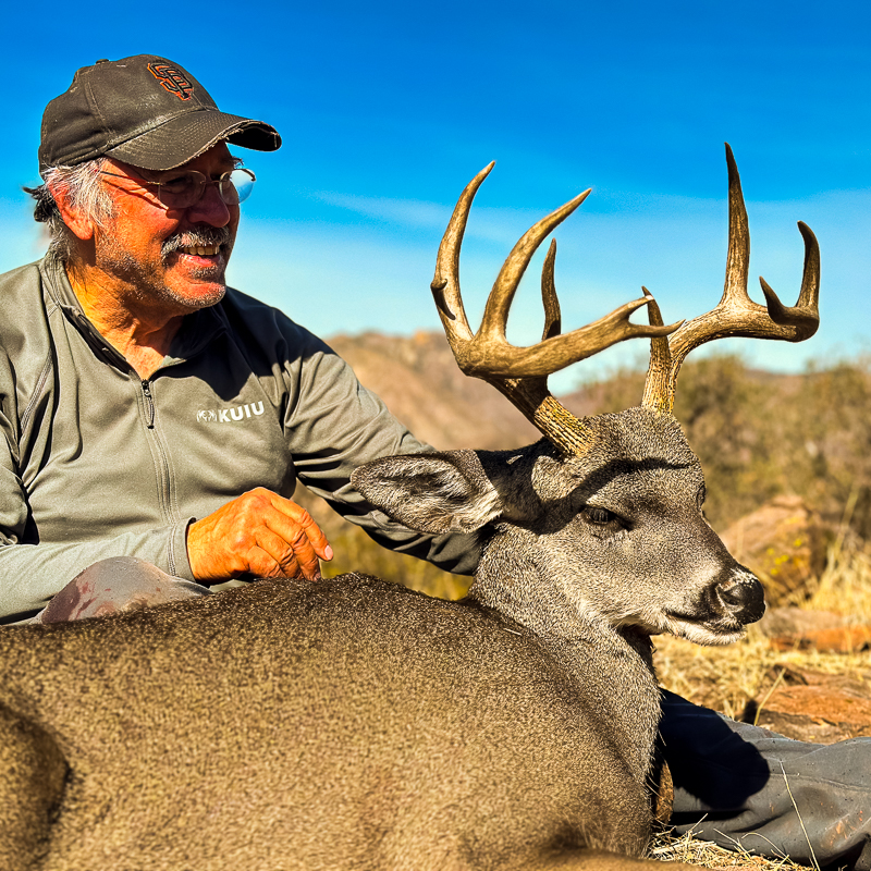 Sonora Coues Deer